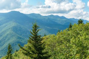 View of the Black Mountains range from the Green Knob Fire Tower