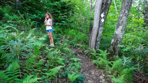 Switchback on the Green Knob Trail