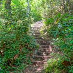 New Steps on the Big Butt Trail