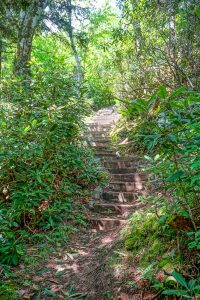 New Steps on the Big Butt Trail