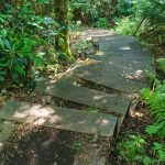 New Steps on the Big Butt Trail