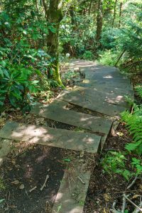 New Steps on the Big Butt Trail