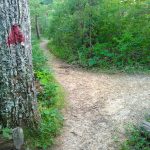 Red Blazed Haw Creek Overlook Path