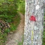 Red Blazed Haw Creek Overlook Path