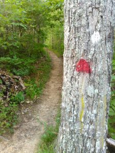 Red Blazed Haw Creek Overlook Path