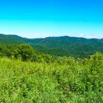 Meadow on the Appalachian Trail