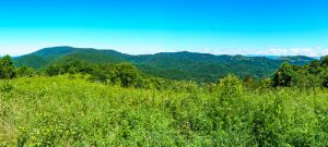 Meadow on the Appalachian Trail