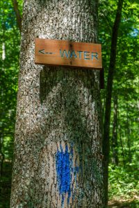 Blue Blazed Path to Water