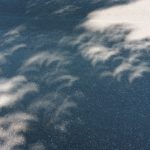 Crescent Shadows on Pavement