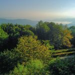 View from Spirit Ridge Trail