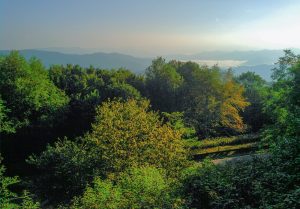 Nantahala National Forest: Cheoah Ranger District