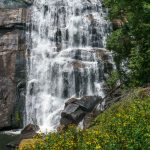 Late Summer Wildflowers at Rainbow Falls