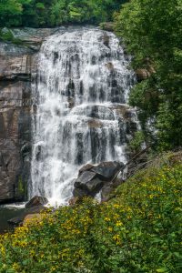 Late Summer Wildflowers at Rainbow Falls