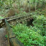 Bridge over Little Santeetlah Creek