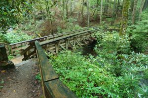 Bridge over Little Santeetlah Creek