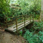 Bridge on the Joyce Kilmer Memorial Loop