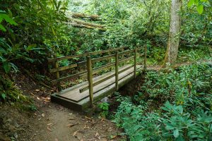 Bridge on the Joyce Kilmer Memorial Loop