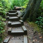 Steps on the Joyce Kilmer Memorial Loop Trail