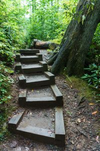 Steps on the Joyce Kilmer Memorial Loop Trail