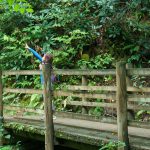 Mossy Bridge on the Joyce Kilmer Loop