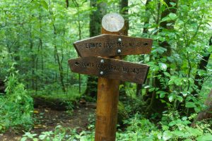 Signs for the Joyce Kilmer Loop Trail