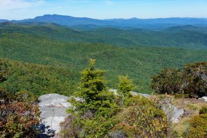 View of Grandfather Mountain from the summit of Hawksbill Mountain.