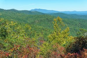 View of Grandfather Mountain from Hawksbill Trail