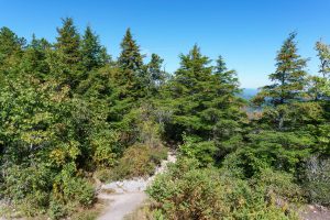 Ridgeline on the Hawksbill Trail