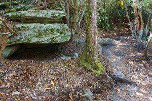 Rock Ledge Beside the Hawksbill Trail