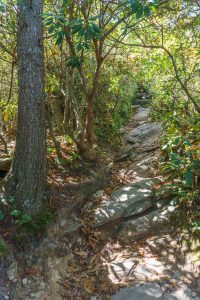 Rocky Climb on the Hawksbill Trail