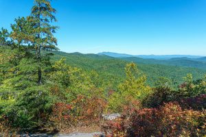 View Northeast from Hawksbill Trail