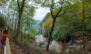 End of the new Skylne Trail