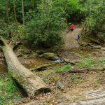 Crossing Fall Creek on the Skyline Trail