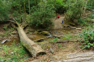 Crossing Fall Creek on the Skyline Trail