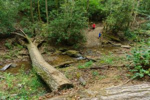 Crossing Fall Creek on the Skyline Trail