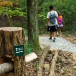Trail Marker on the Skyline Trail