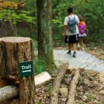 Trail Marker on the Skyline Trail