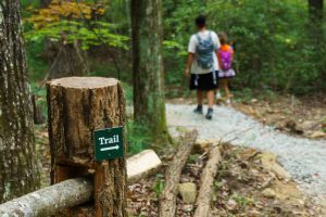 Trail Marker on the Skyline Trail