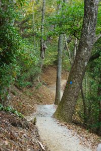 New Skyline Trail