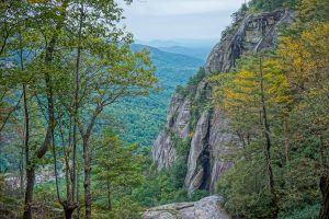 View from the Top of Hickory Nut Falls