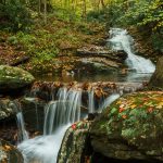 Small Cascade on Stony Fork