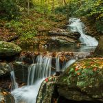 Small Cascade on Stony Fork