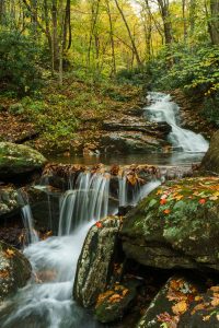 Small Cascade on Stony Fork