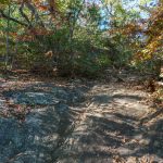 Rocky Section of Big Piney Ridge