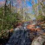 Graybeard Falls