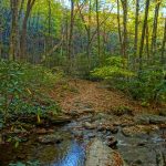 Graybeard Trail over Flat Creek