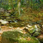 Second Crossing of Flat Creek