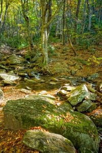 Second Crossing of Flat Creek