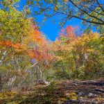 Fall Color at Rock Outcrop on the Graybeard Trrail