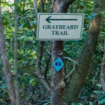 Graybeard Trail Sign